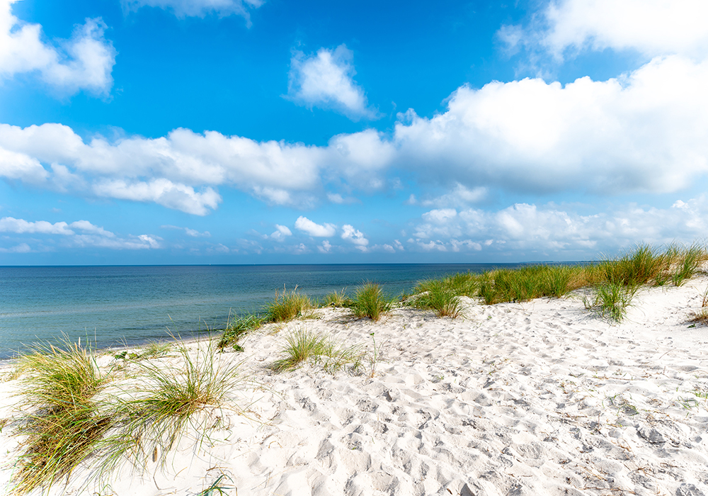 Sanddüne mit Blick auf die Ostsee in Dierhagen, wo sich Ferienobjekte der WBG "Treptow Nord" befinden
