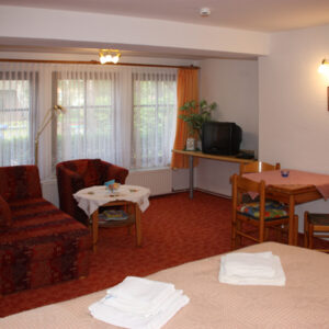 WBGTN_Dierhagen_Apartment_Wohnzimmer